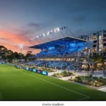 sharks stadium